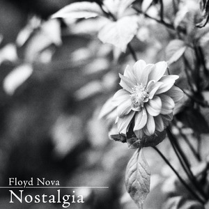 打屁股美女脱掉蕾丝
